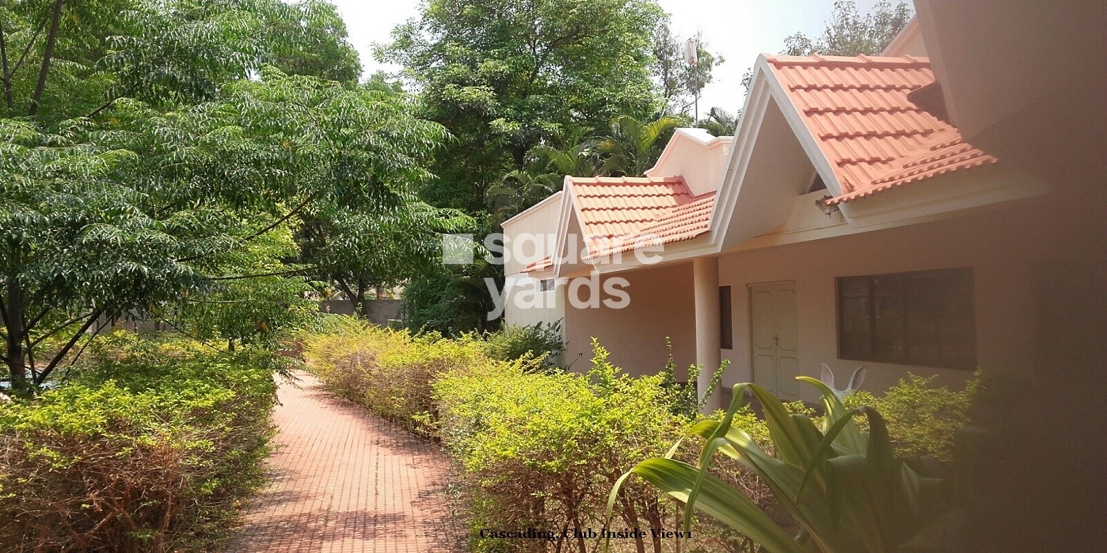 Ferns Cascading Meadows Featured Image