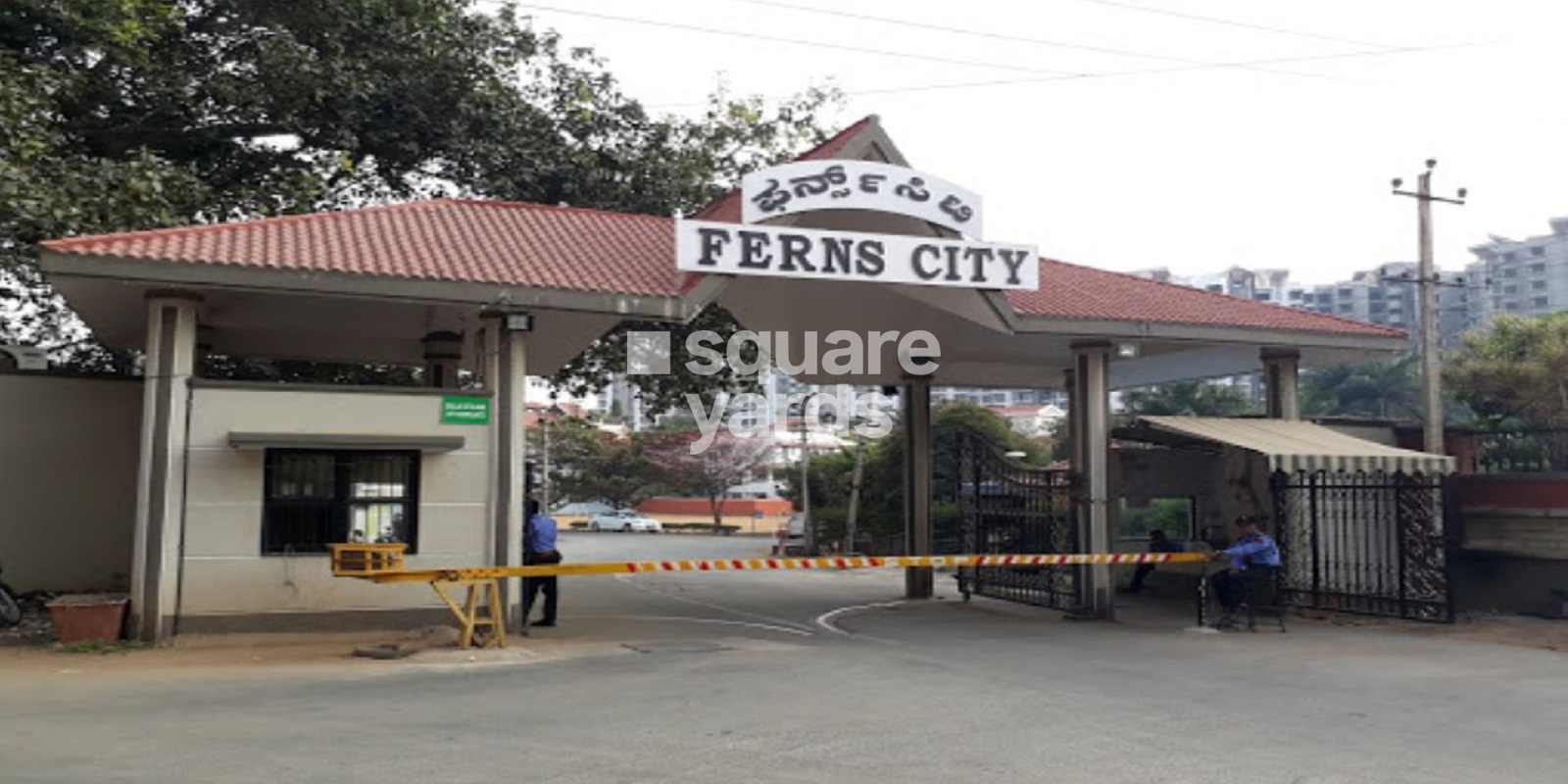 Ferns City Cover Image