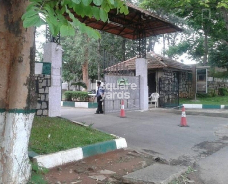 Ferns Meadows Entrance View