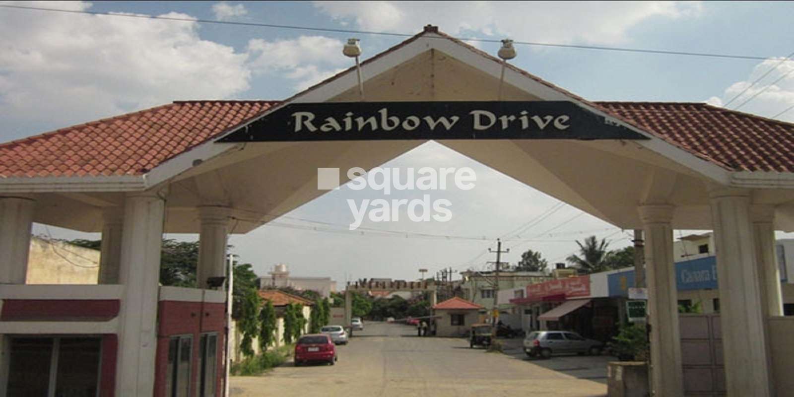 Ferns Rainbow Drive Cover Image