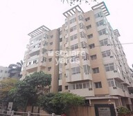 Forest Edge Tower View