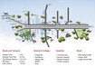 Fortuna Acacia Location Image
