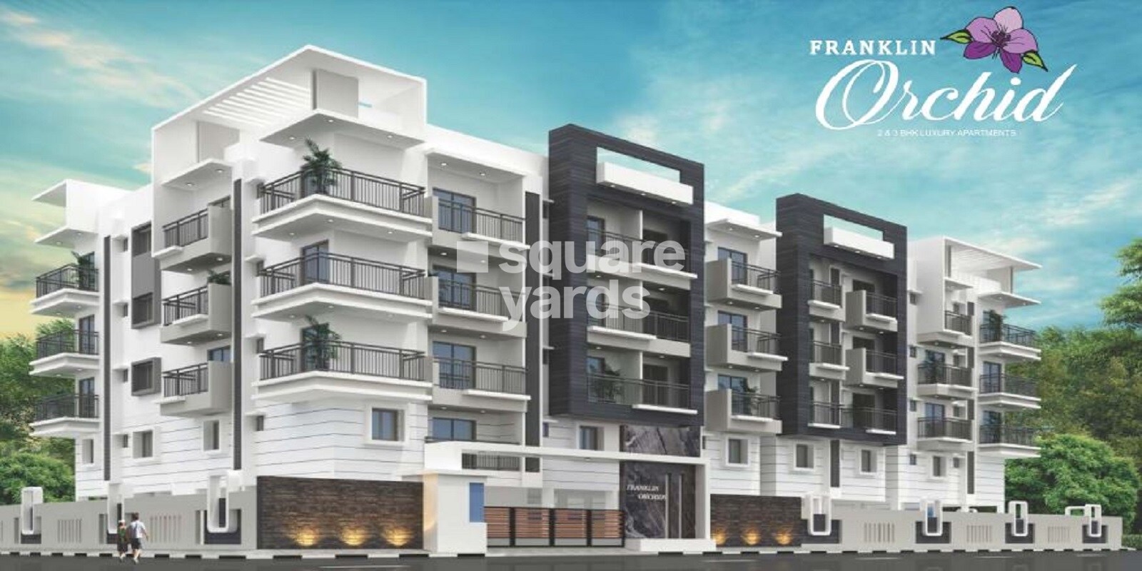 Franklin Orchid Featured Image