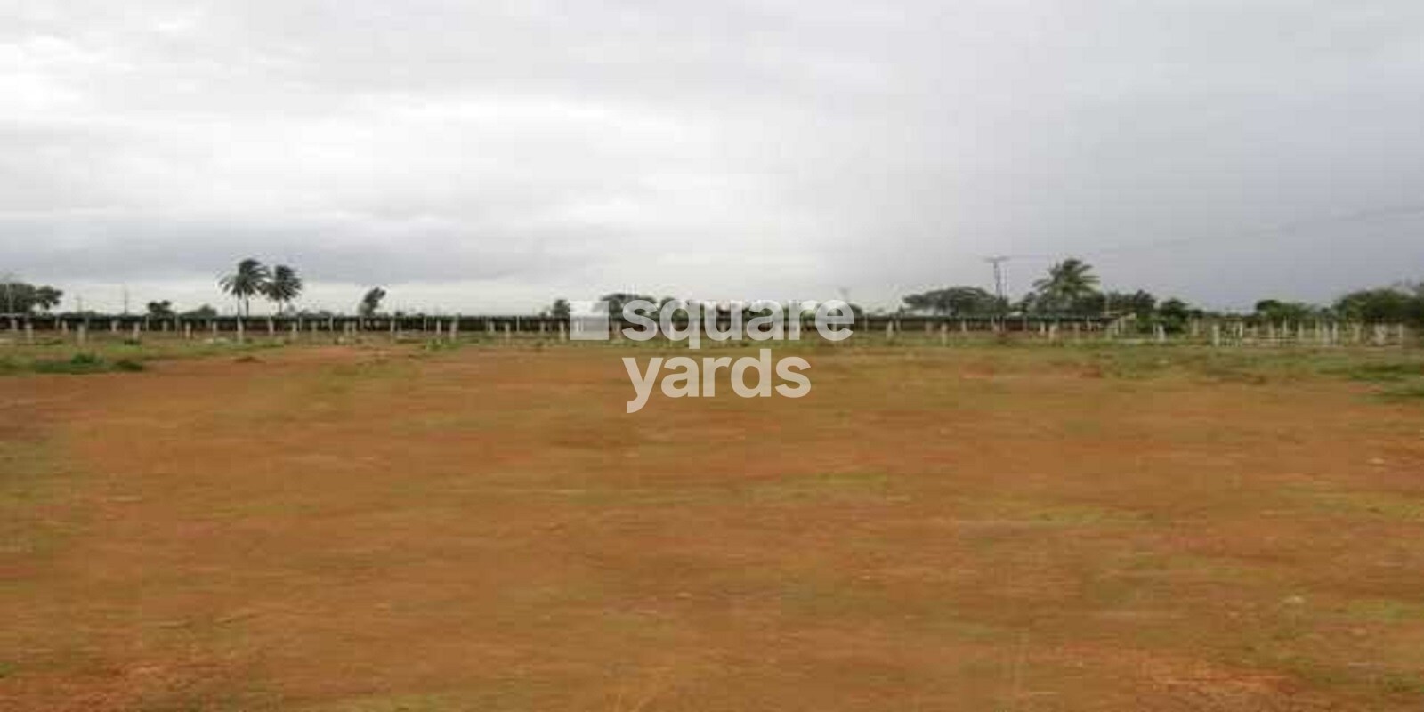 General Insurance Layout