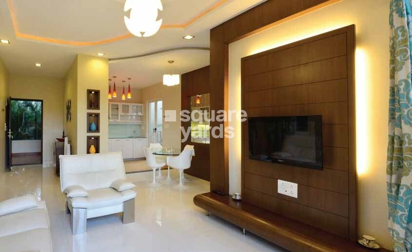 GM Infinite Daffodils