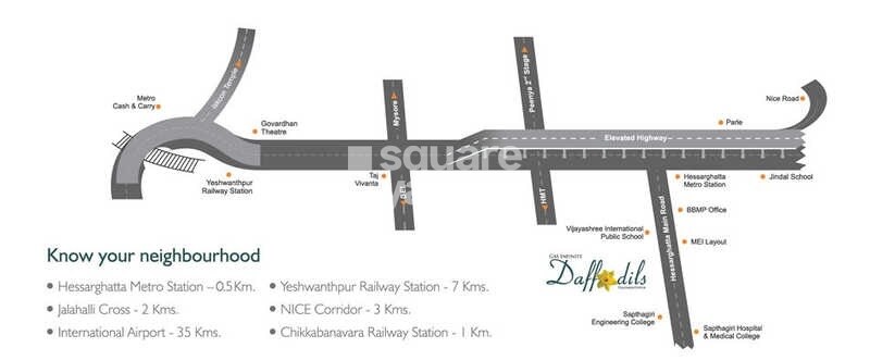 GM Infinite Daffodils