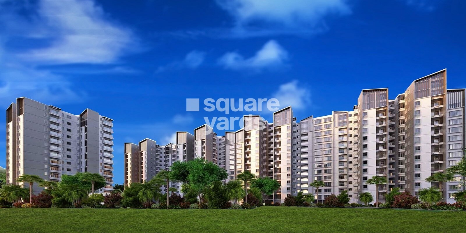 Golden Gate Golden Days Featured Image