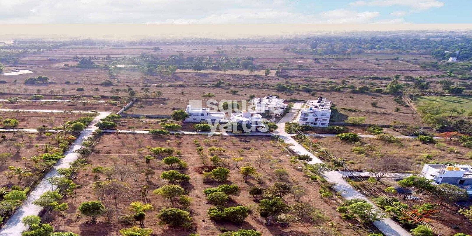 Golden Mile Plots