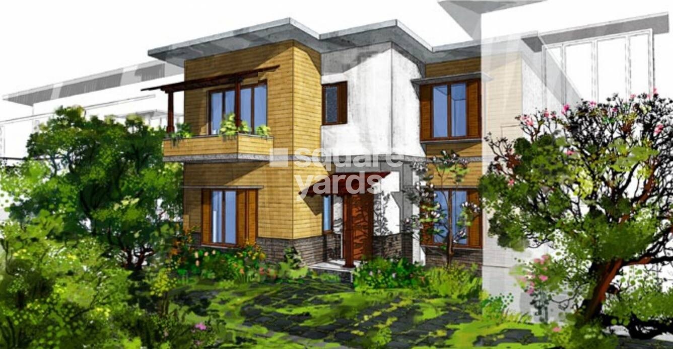 Good Earth Footprints