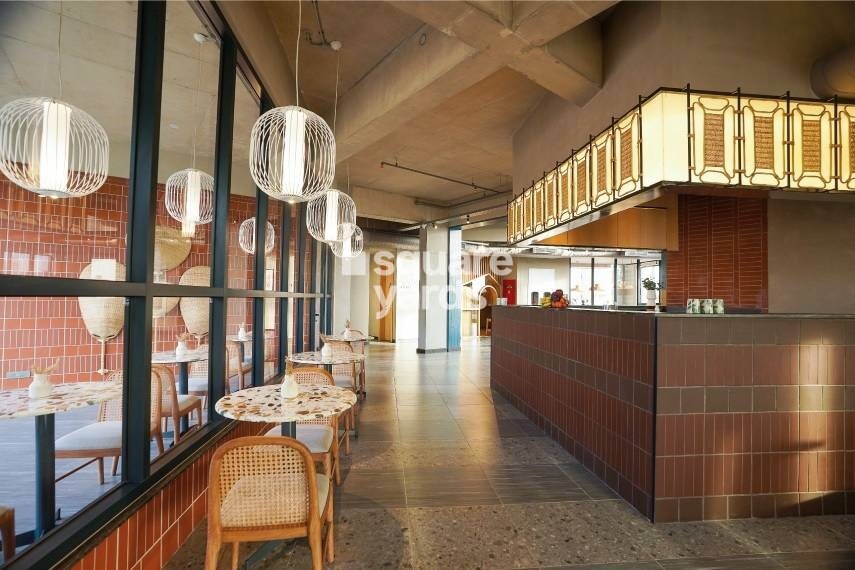 Goyal Orchid Piccadilly