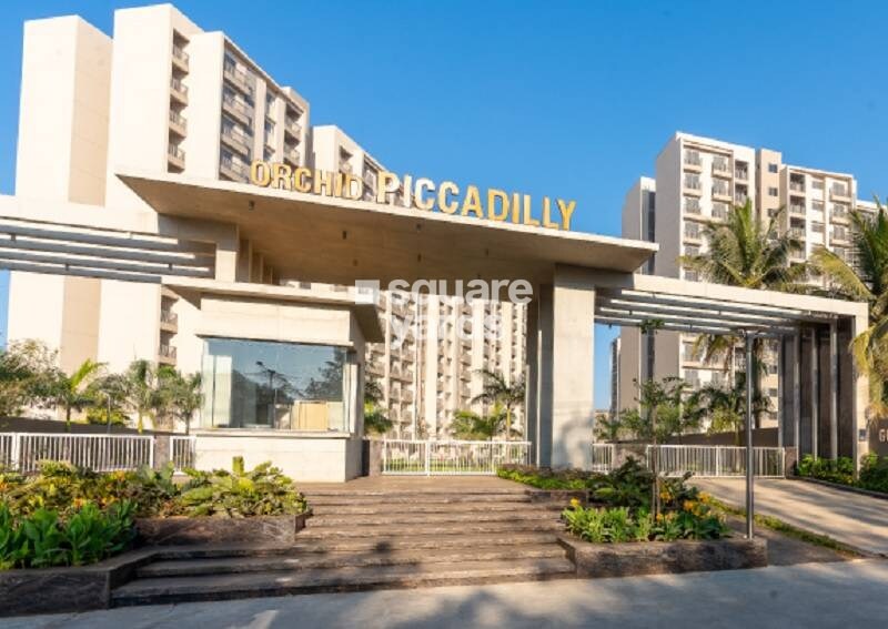 Goyal Orchid Piccadilly