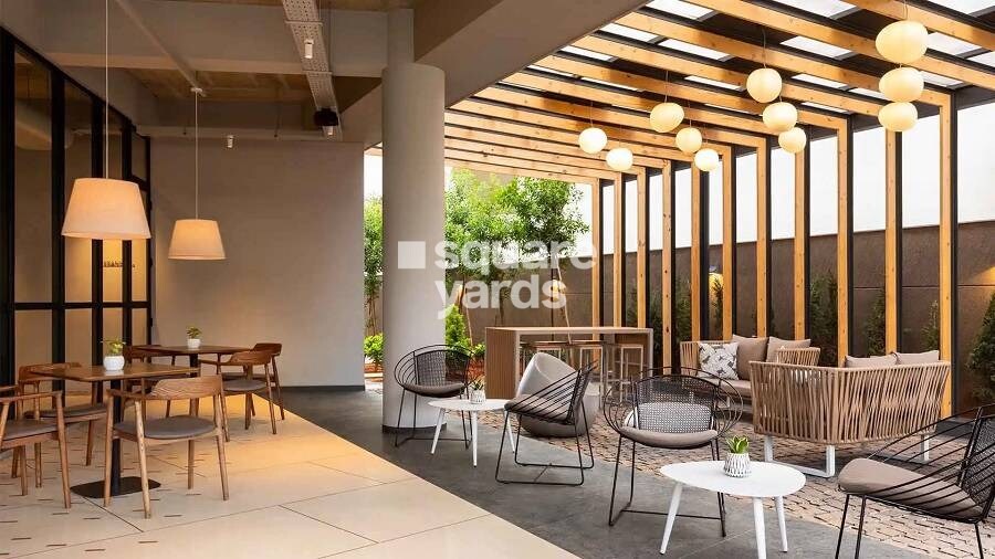 Goyal Orchid Salisbury