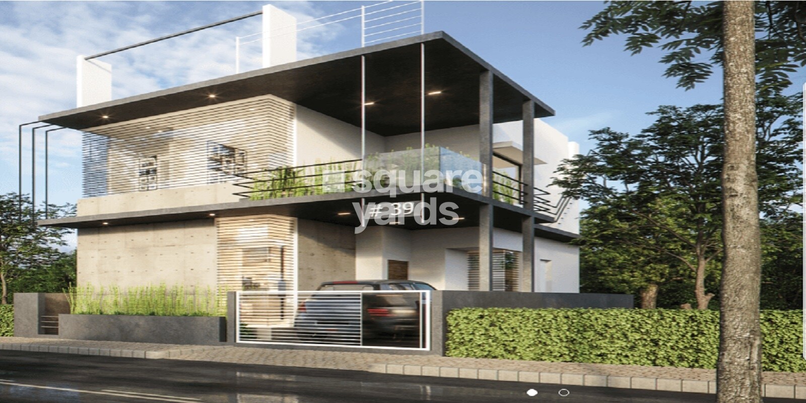 Gravity Forest View Featured Image