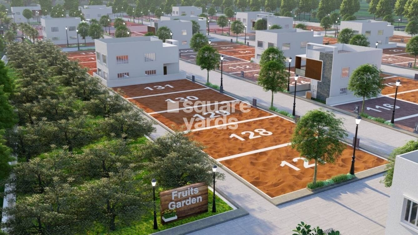 Guru Punvaanii Exotica