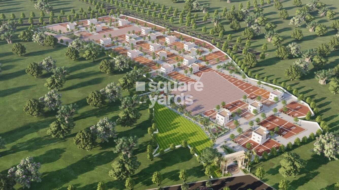 Guru Punvaanii Exotica