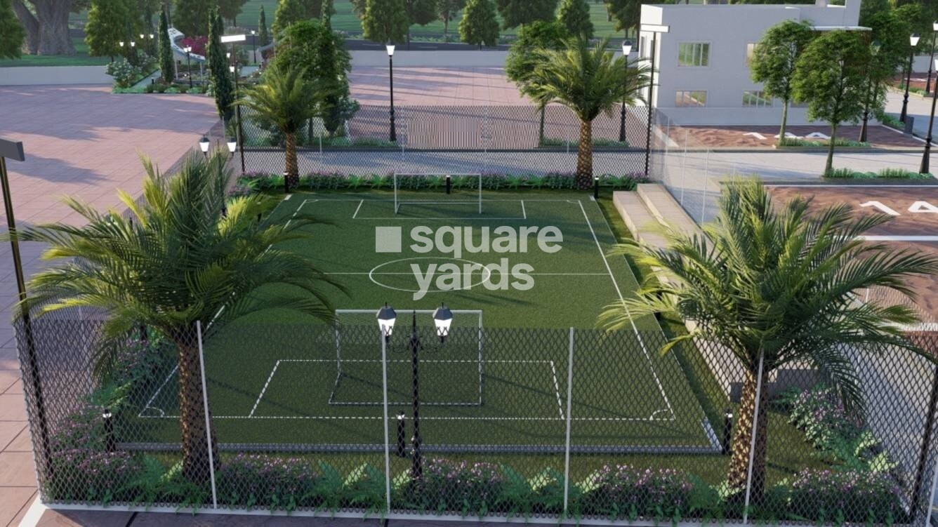 Guru Punvaanii Exotica