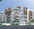 Hilife Triflora
