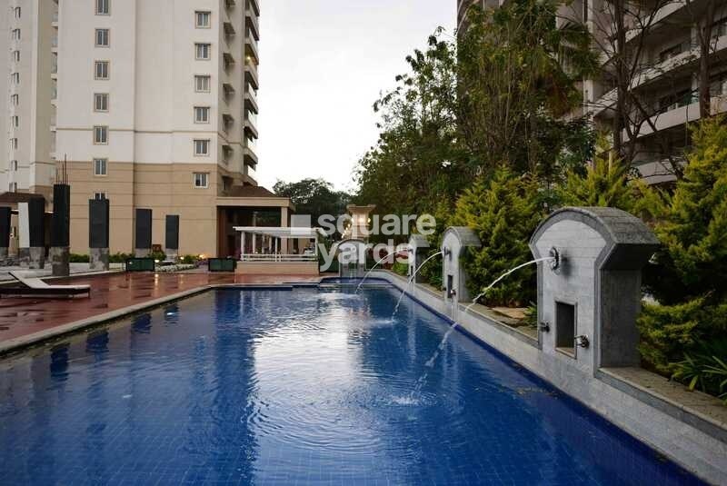 HM Tropical Tree Amenities-Features