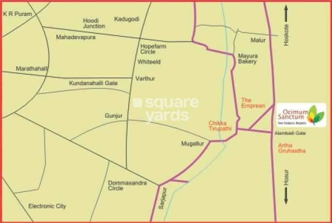 Honeybee Ocimum Sanctum