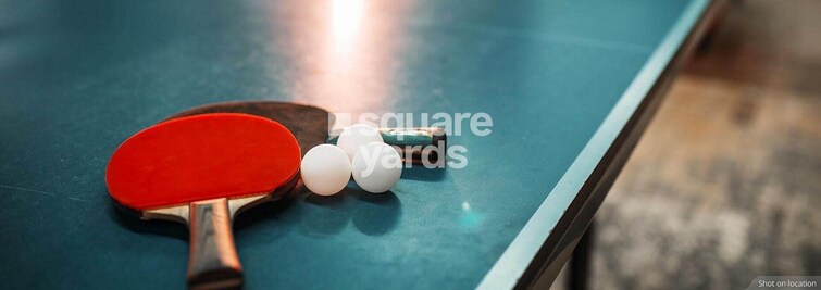 House of Hiranandani Devanahalli Sports facilities Image 4