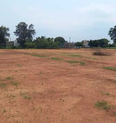 Icon Calista Icon Calista