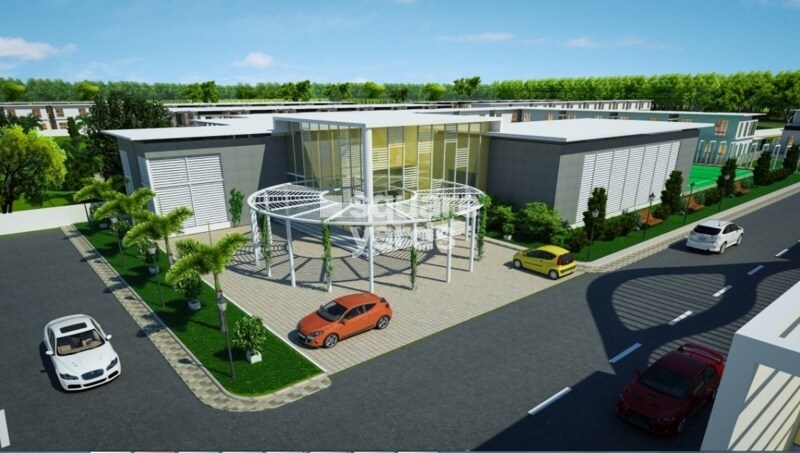 Infrany Bougainvillea