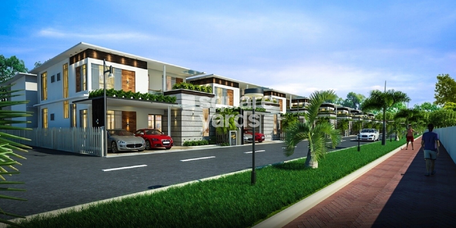 Infrany Bougainvillea