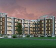 Infrany Nest