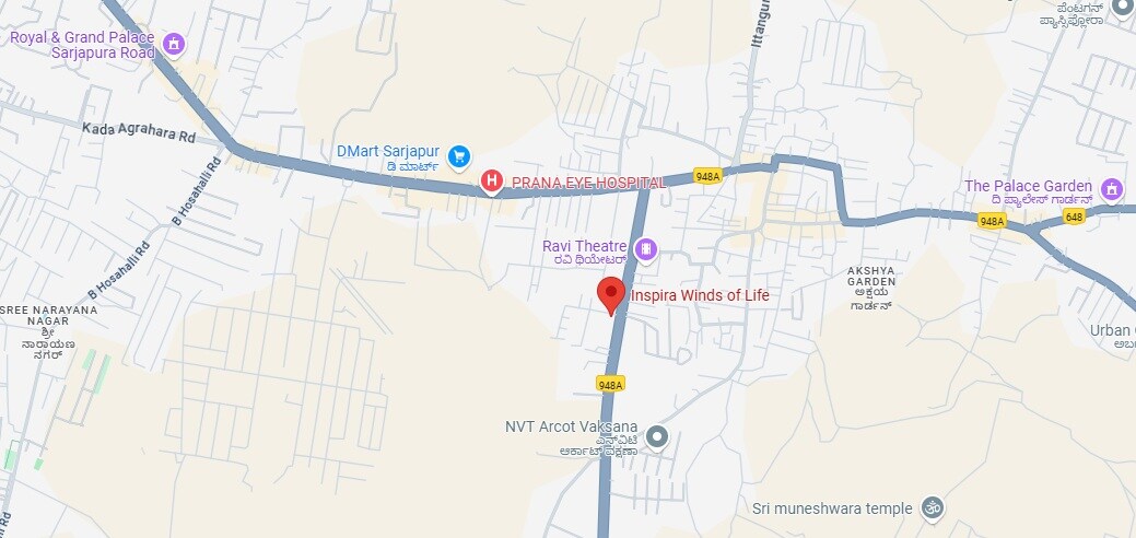 Inspira Winds of Life