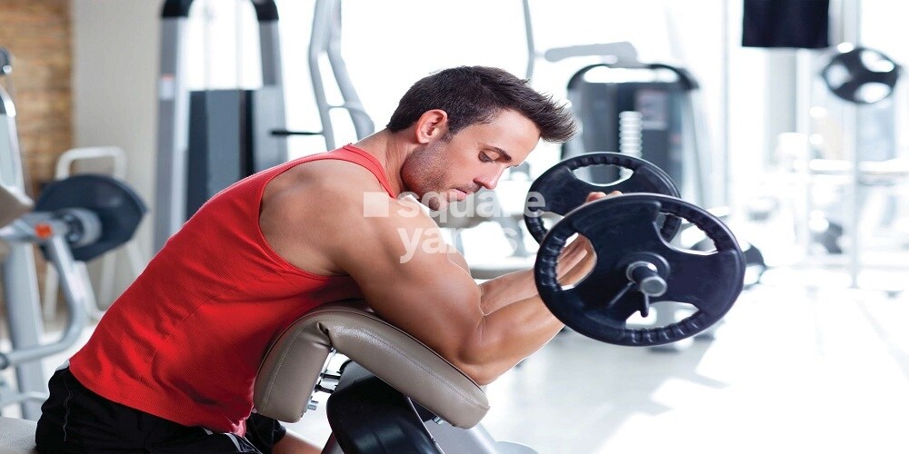 Isha Misty Green Gymnasium Image