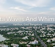 Ista Waves And Whimsy