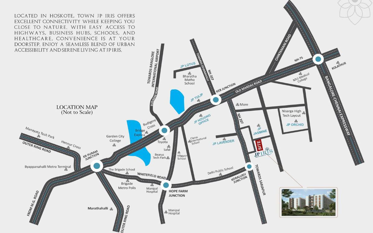 JP Iris Location Image