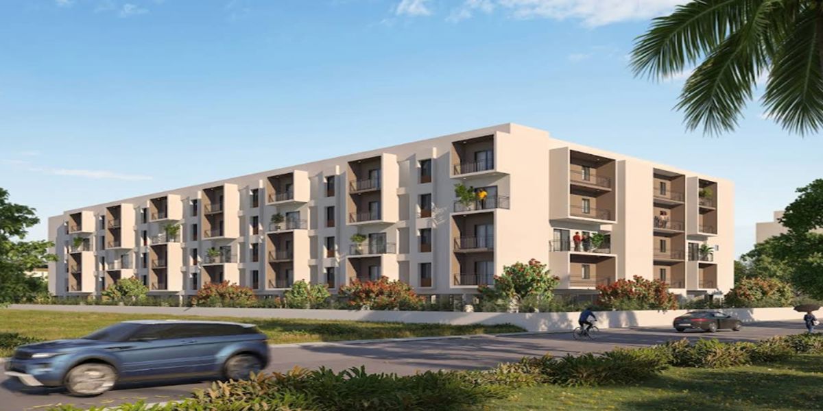 JP Jasmine Featured Image