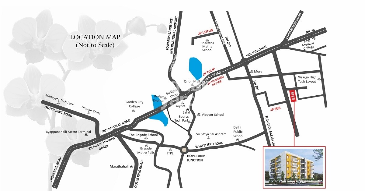 JP Orchid Location Image