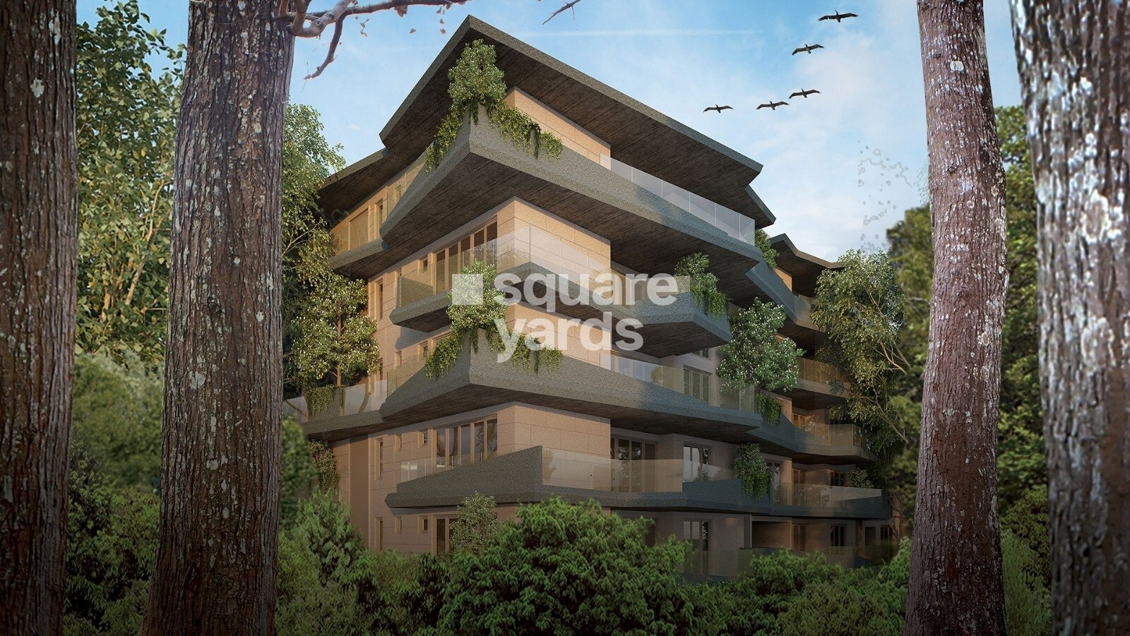 JRC Wild Woods Tower View 1