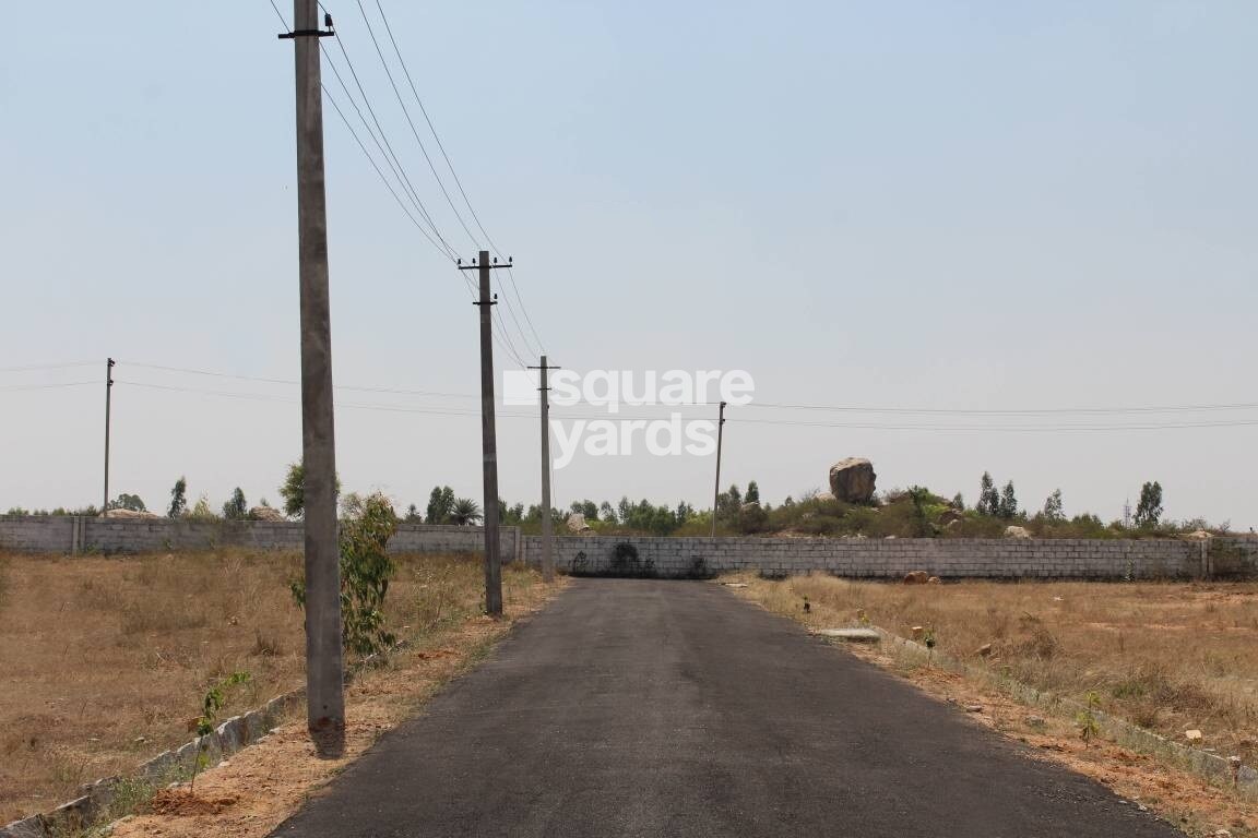 Kandam Royal Cypress