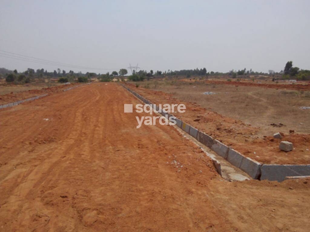 Kandam Royal Cypress