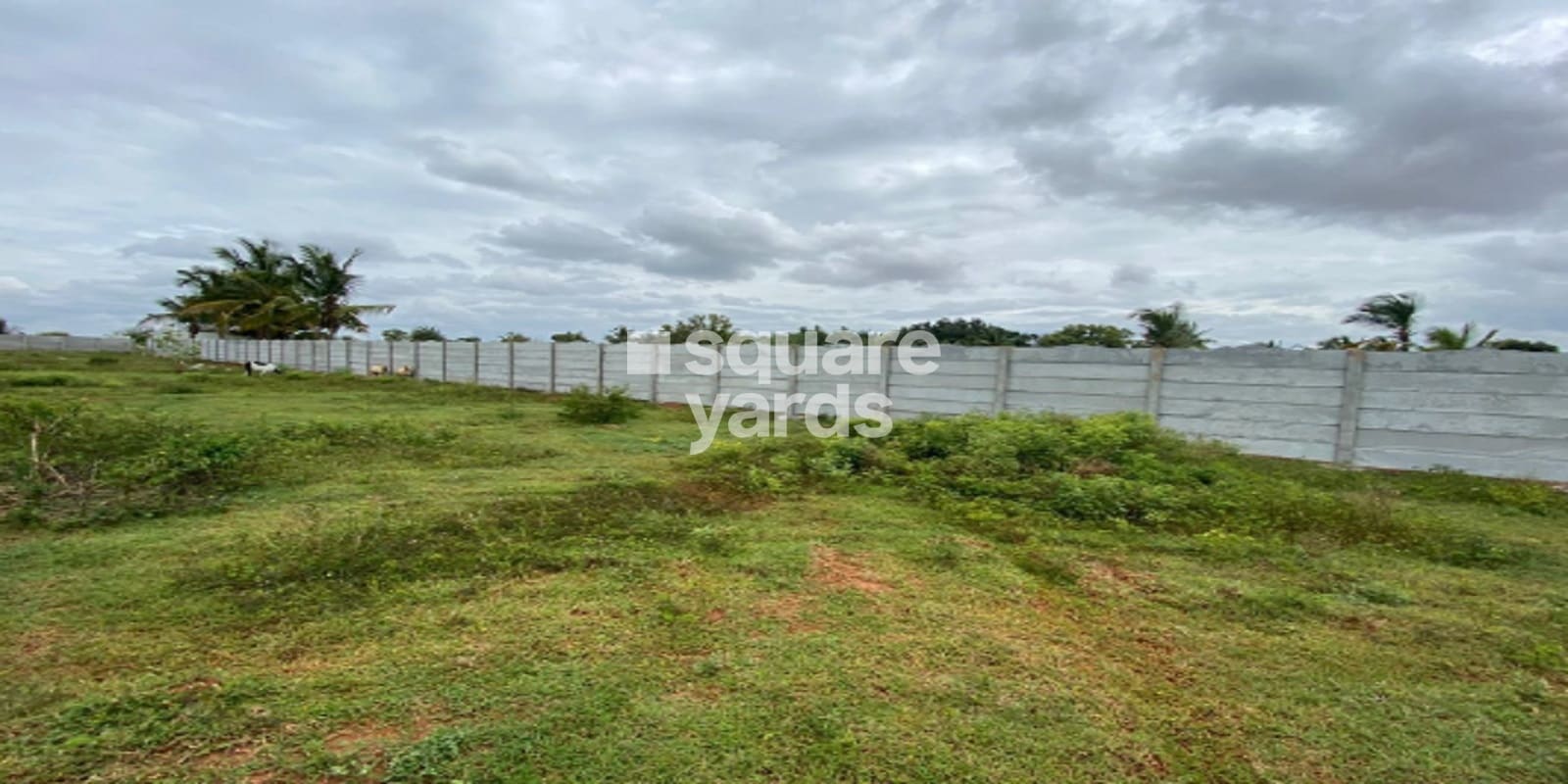 Kapi Kousthubham Featured Image