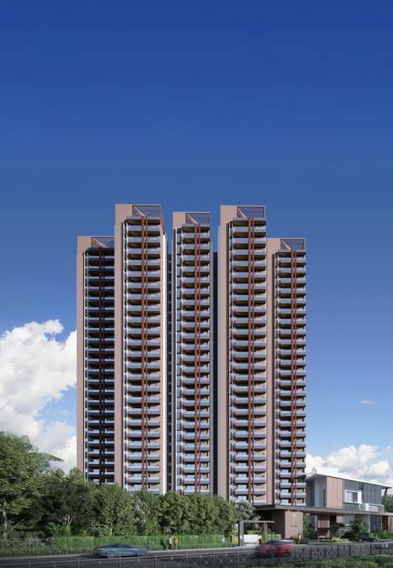 Keerthi Nandini The Ascent