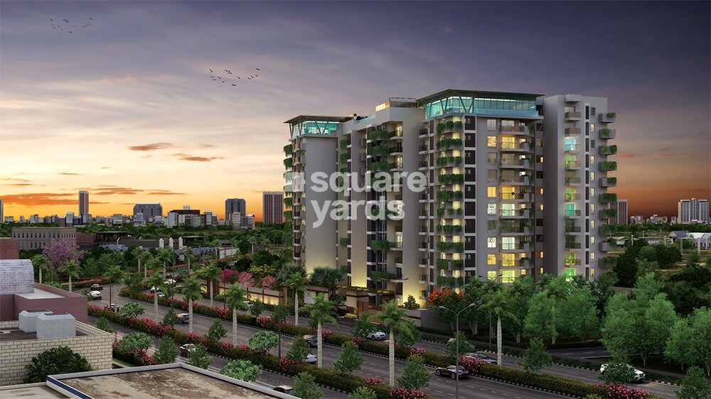 Kolte Patil 24K Grazio