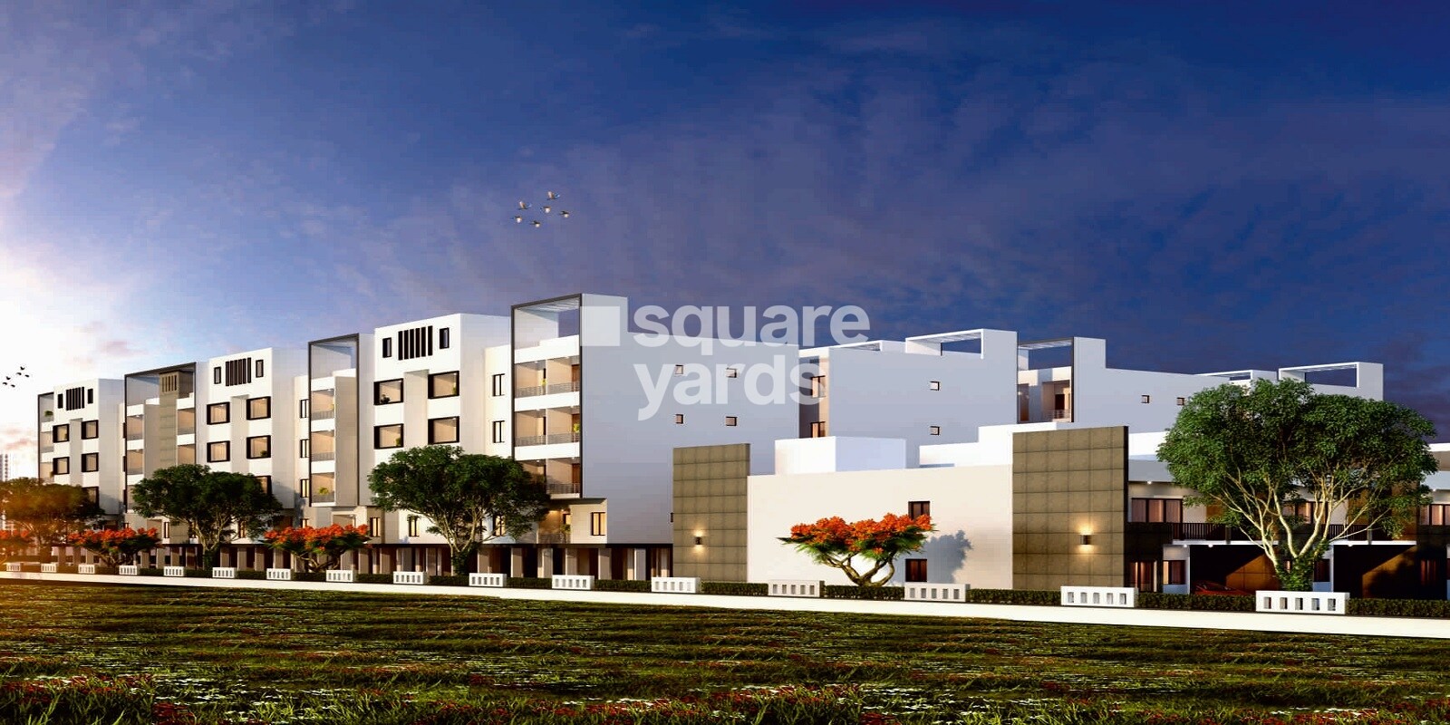 KSR Basil Featured Image