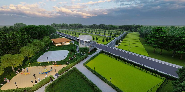 Livanta Wilderwood Cover Image