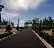 Maanya Tulips Plot Images