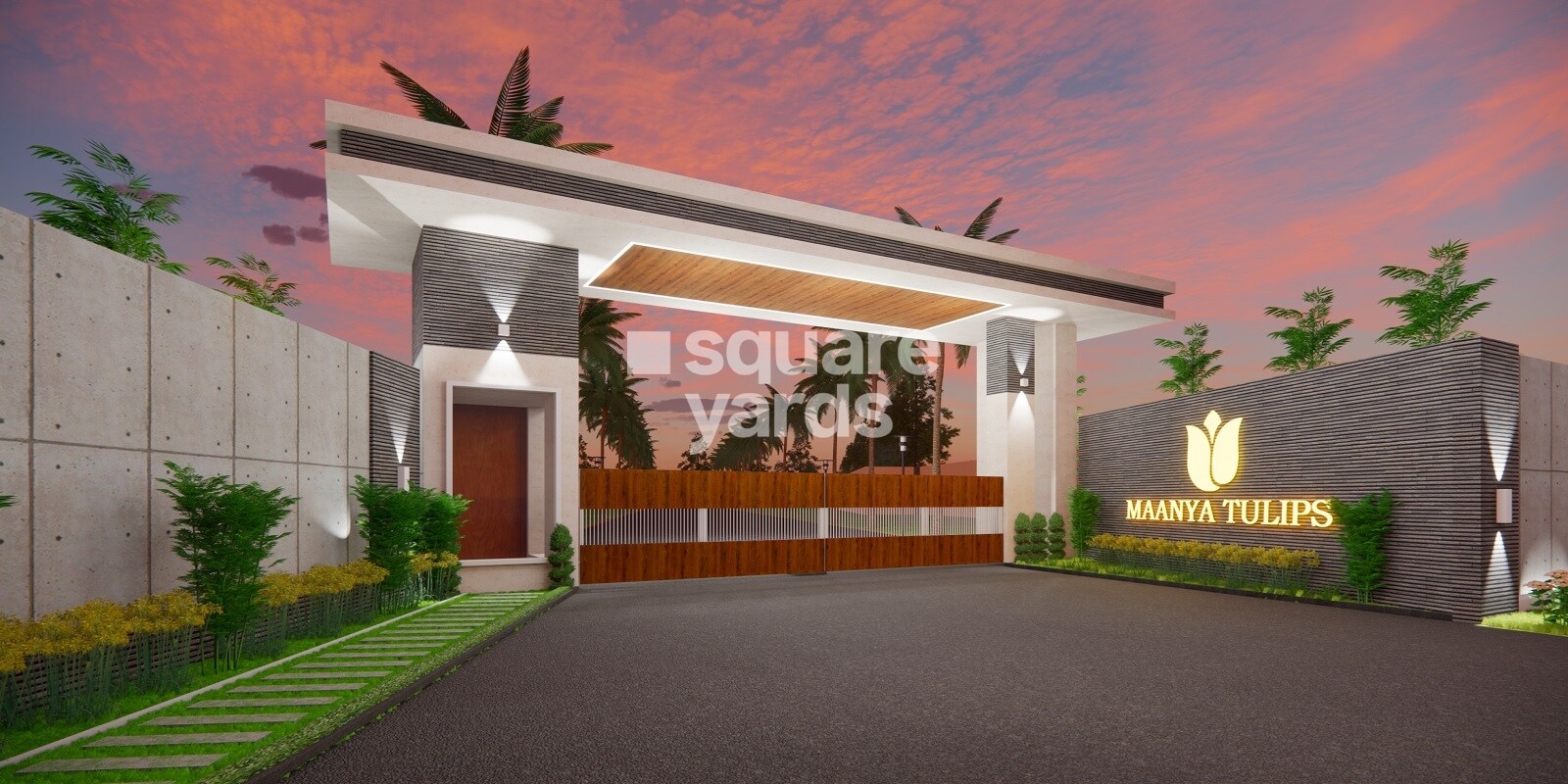 Maanya Tulips