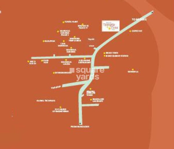 Magnolia Temple Tree