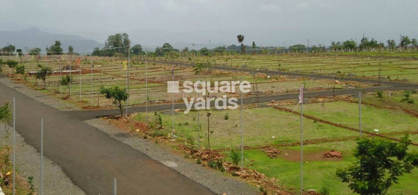 Magnolia Temple Tree