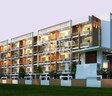 Mahaveer Carnation