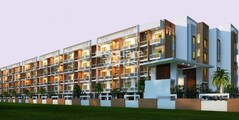 Mahaveer Carnation