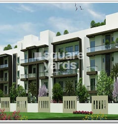 Mahaveer Jonquil Mahaveer Jonquil