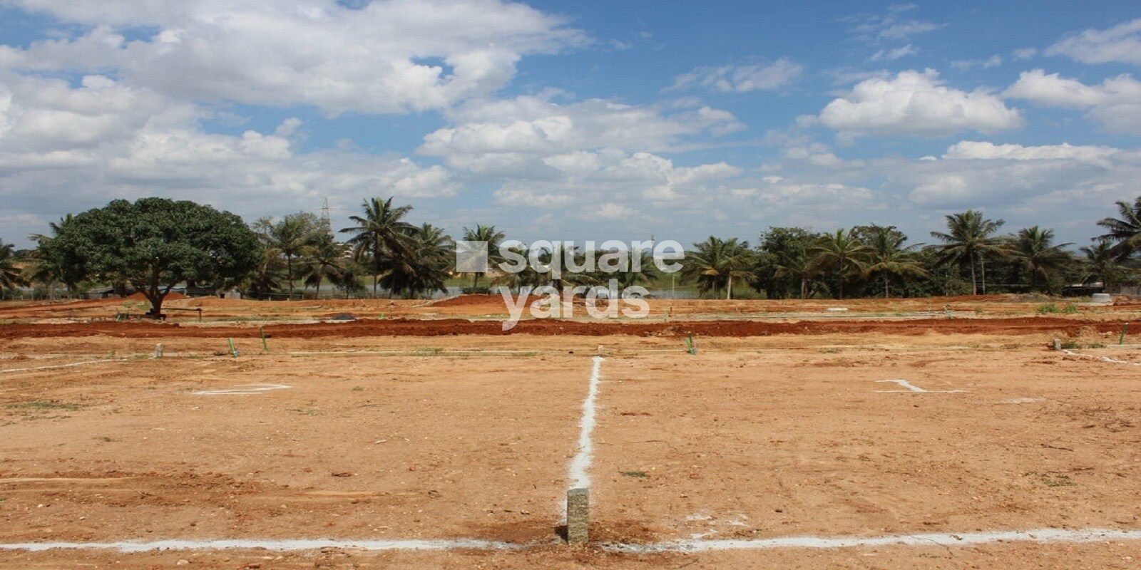 Mangala Aditya Orchard